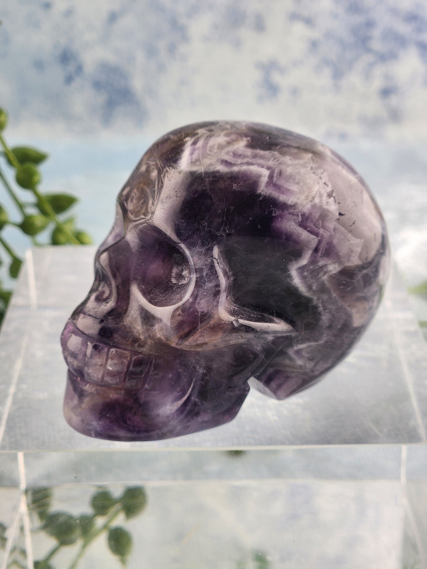 Chevron Amethyst Skull