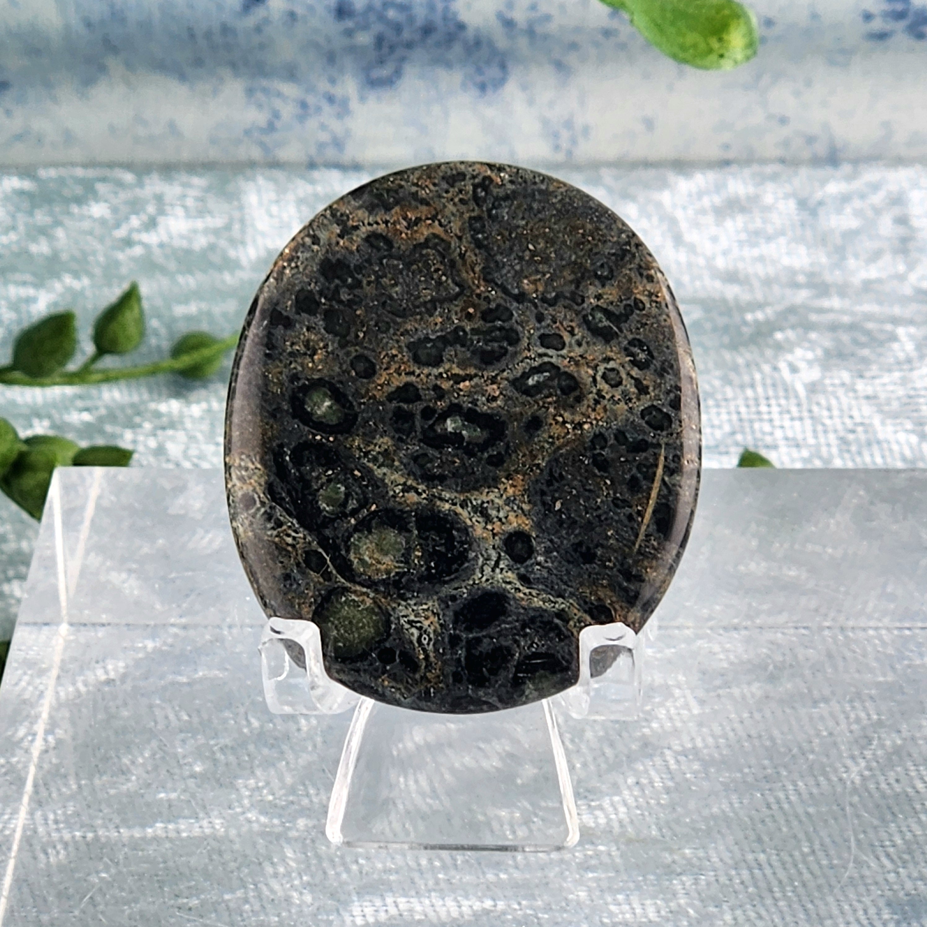 Kambaba Jasper Flat Stone