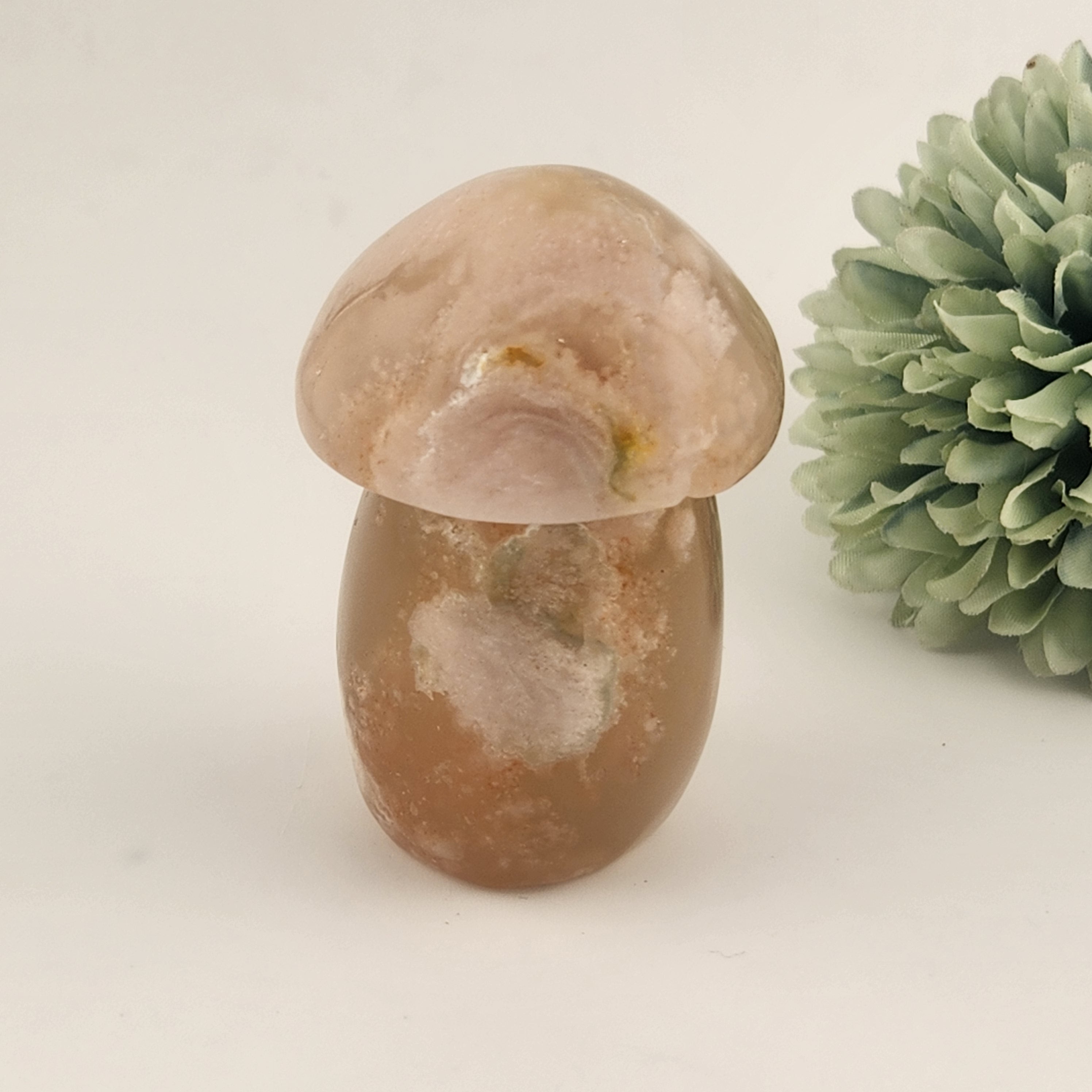 Flower Agate Mushroom