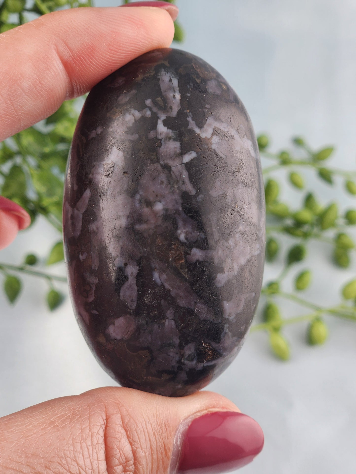 Indigo Gabbro Palmstone