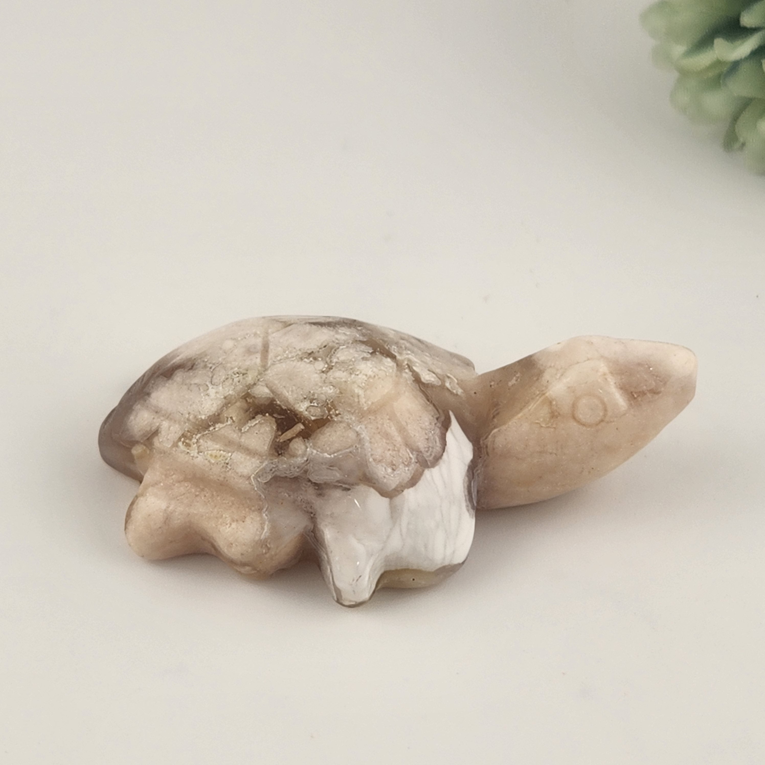 Flower Agate Turtle