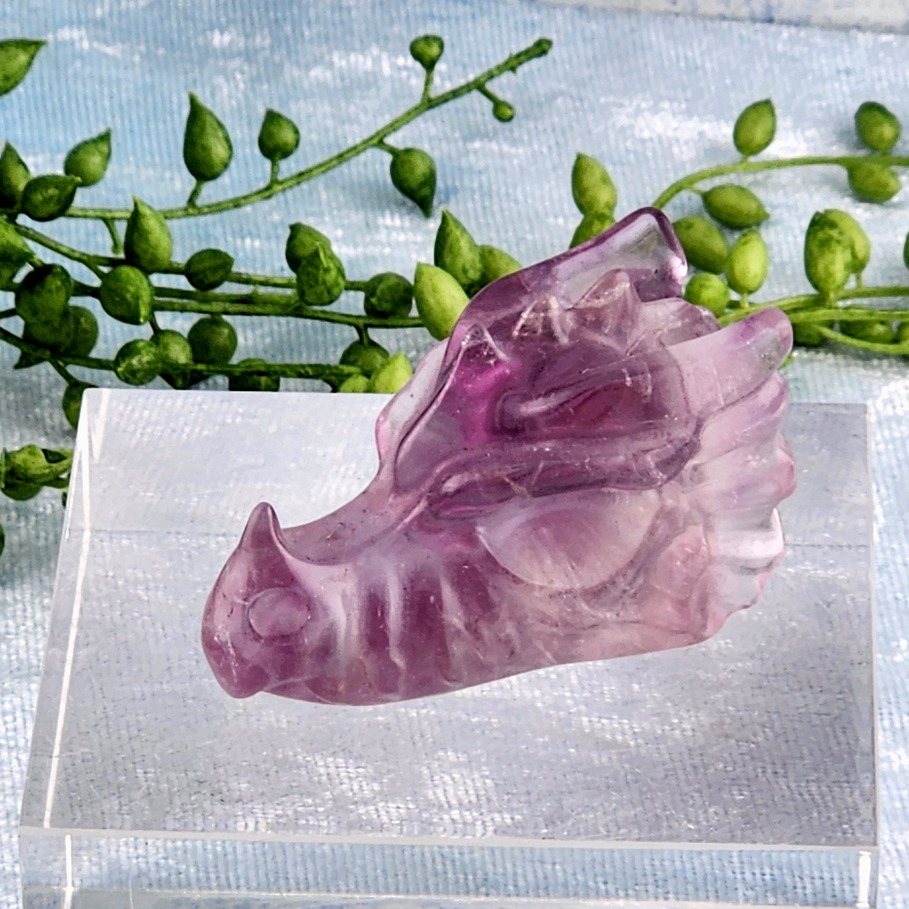 Purple Fluorite Dragonhead