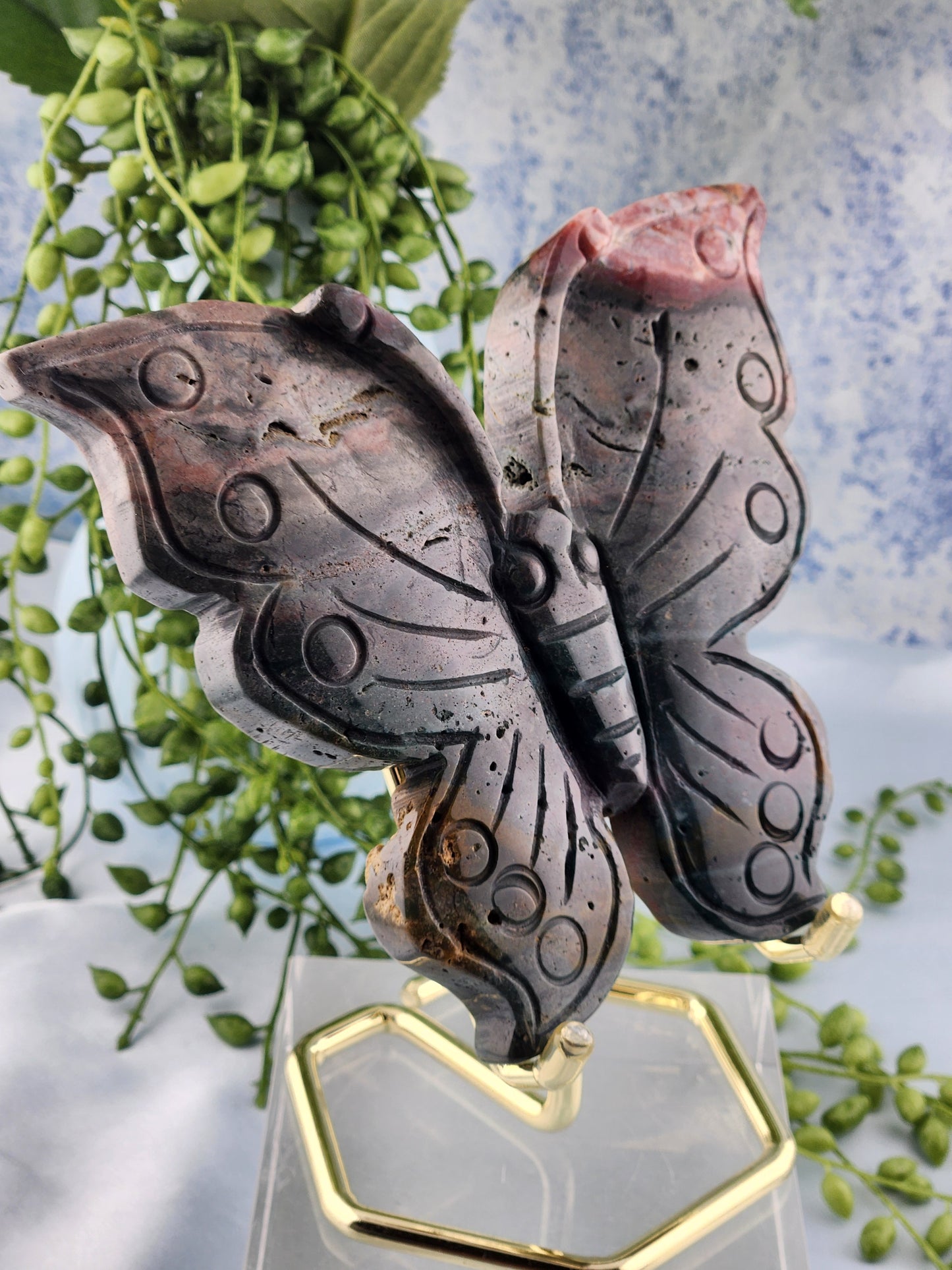 Ocean Jasper Butterfly