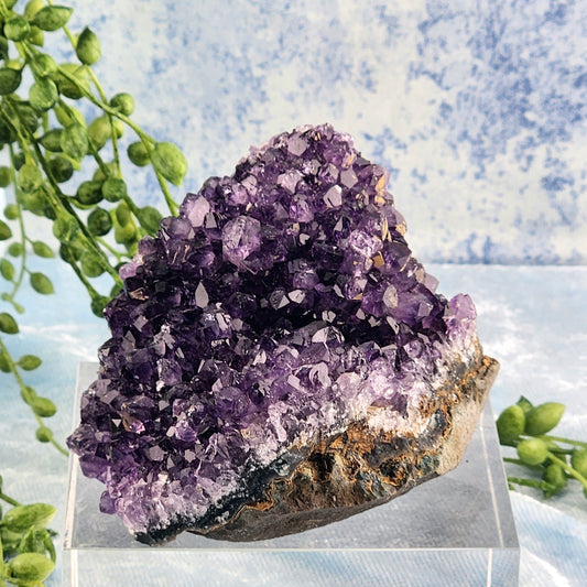 Extra A-Grade Amethyst Cluster